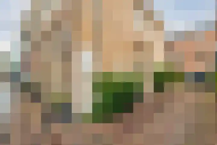 Bitterstraat 26 Zwolle thumbnail 30