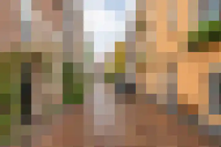 Bitterstraat 26 Zwolle thumbnail 31