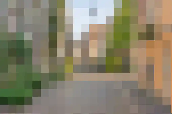 Bitterstraat 36 Zwolle thumbnail 23