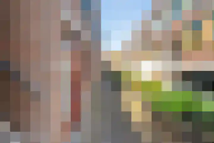 Bitterstraat 36 Zwolle thumbnail 7