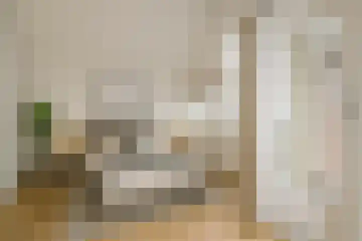 Bitterstraat 5 Zwolle thumbnail 32