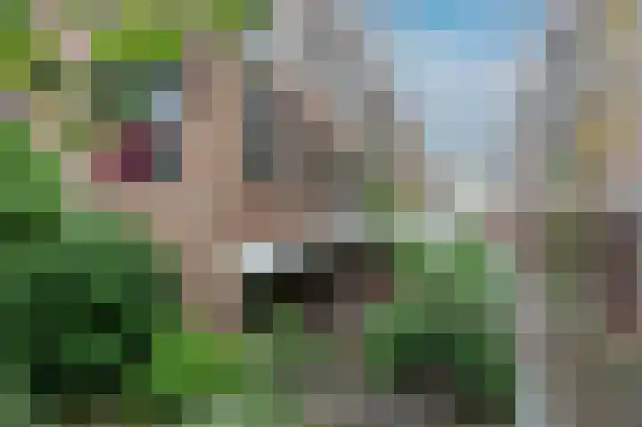 Bitterstraat 5 Zwolle thumbnail 37