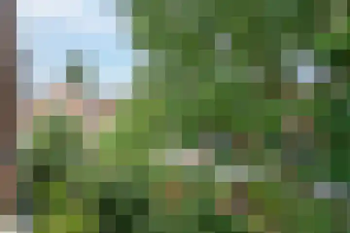 Bitterstraat 5 Zwolle thumbnail 6