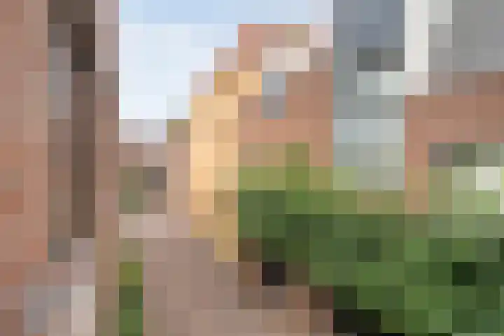 Bitterstraat 52 Zwolle thumbnail 20