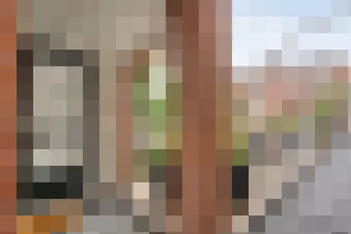 Bitterstraat 52 Zwolle thumbnail 4