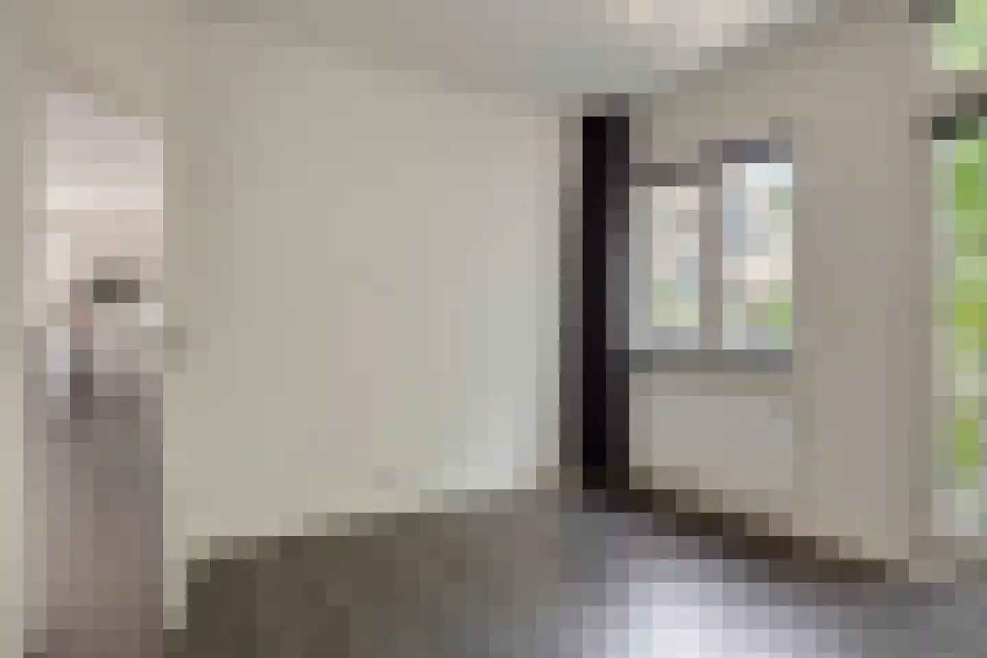 Bitterstraat 66 Zwolle thumbnail 17