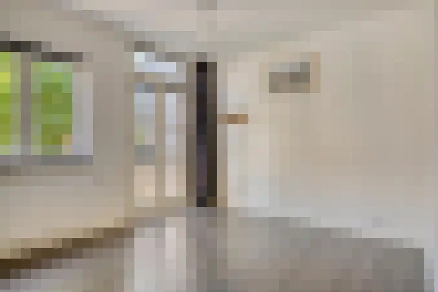 Bitterstraat 66 Zwolle thumbnail 17