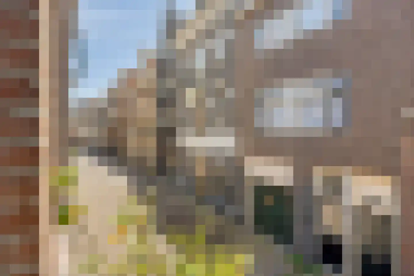 Bitterstraat 66 Zwolle thumbnail 25