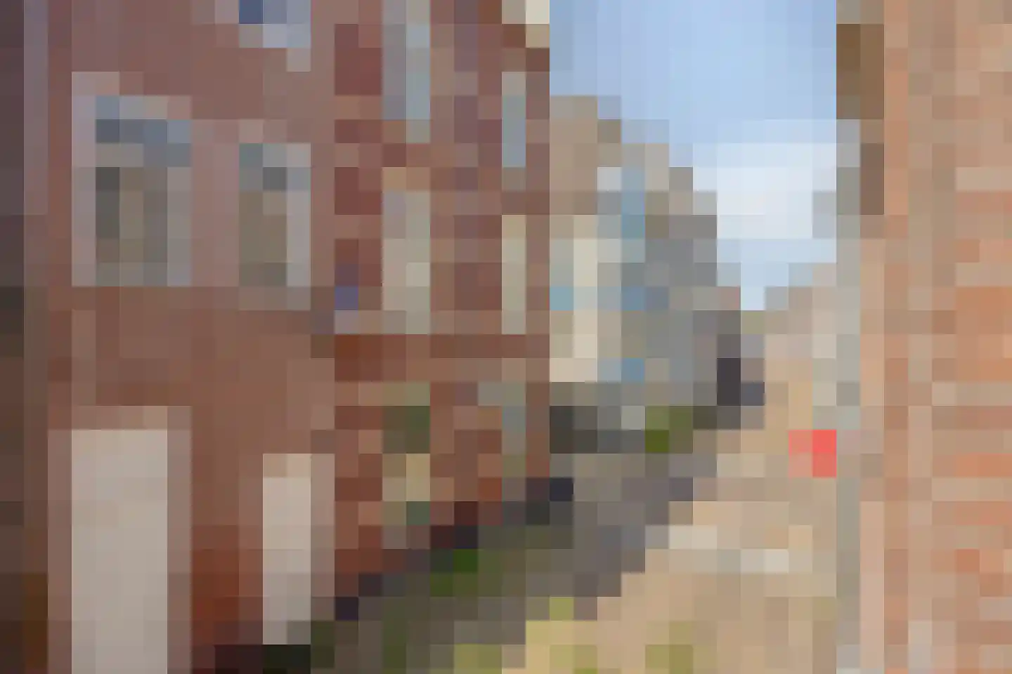 Bitterstraat 66 Zwolle thumbnail 26