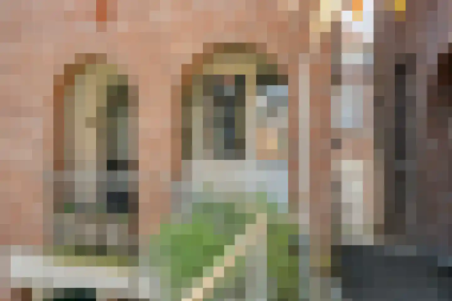 Bitterstraat 66 Zwolle thumbnail 4
