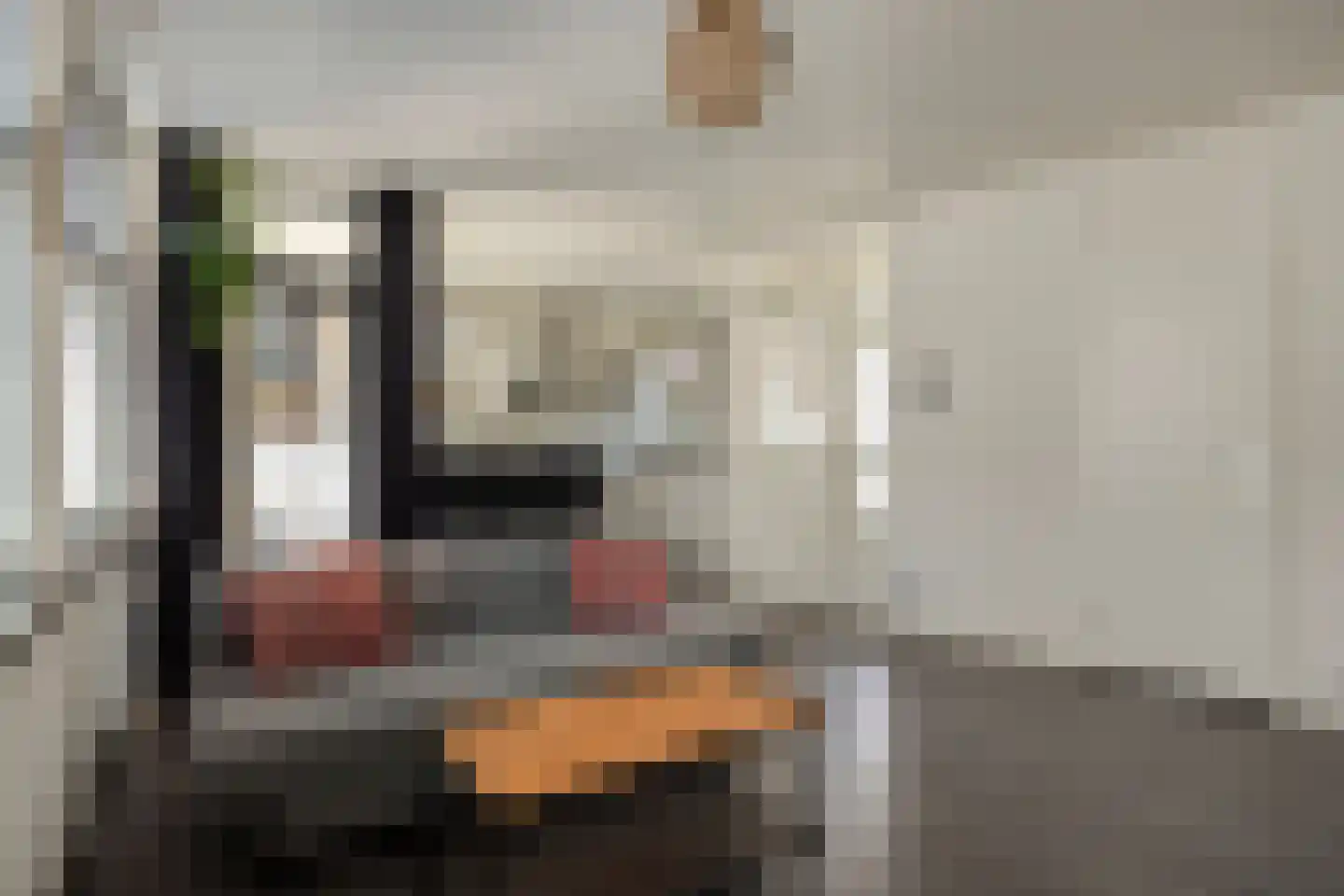 Bitterstraat 66 Zwolle thumbnail 8