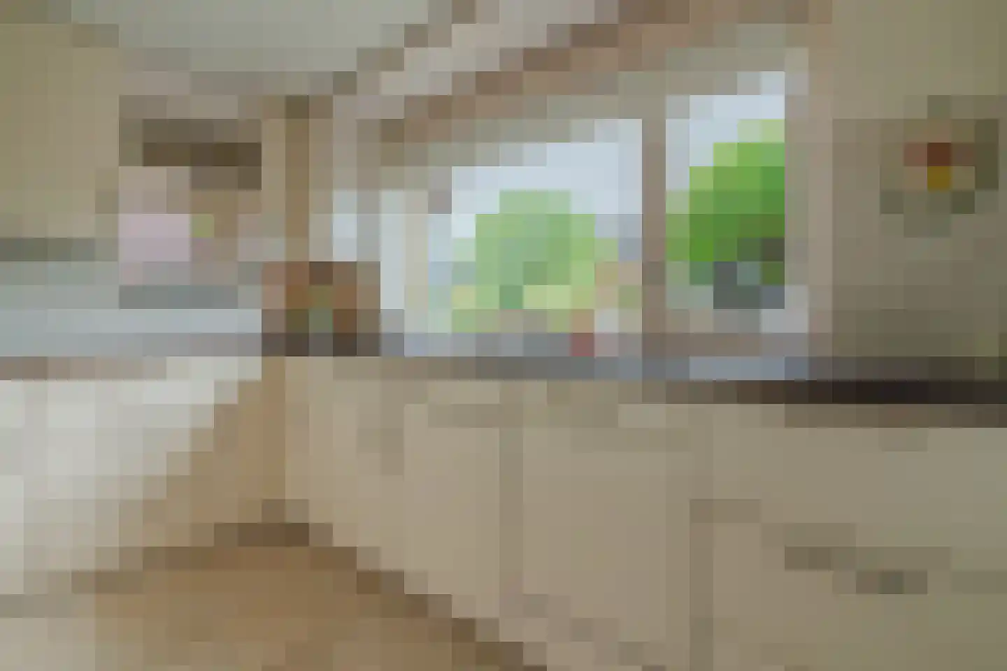 Bittervoorn 26 Hoogeveen thumbnail 15