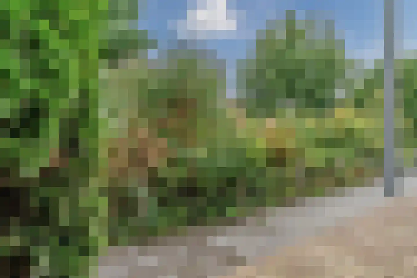 Bittervoorn 26 Hoogeveen thumbnail 48