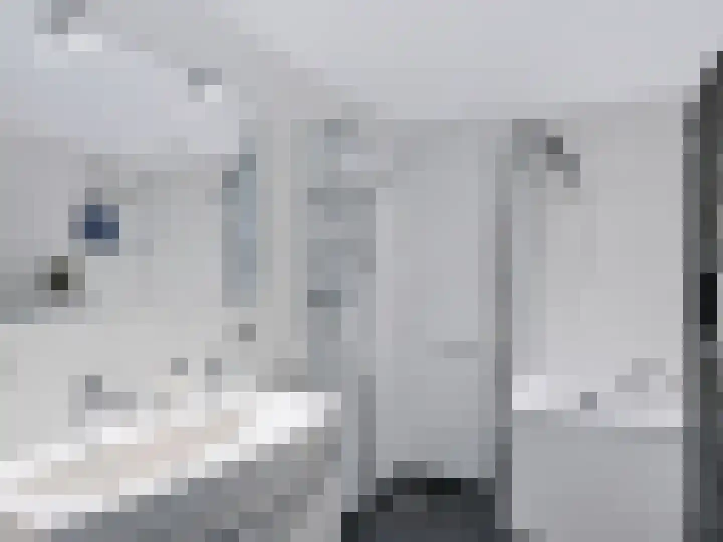 Bittervoorn 30 Krommenie thumbnail 26