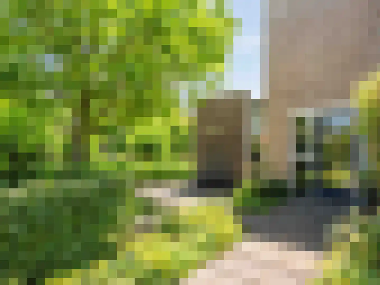 Bittervoorn 30 Krommenie thumbnail 29