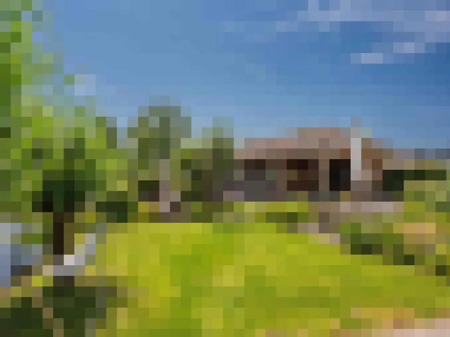 Bittervoorn 30 Krommenie thumbnail 34