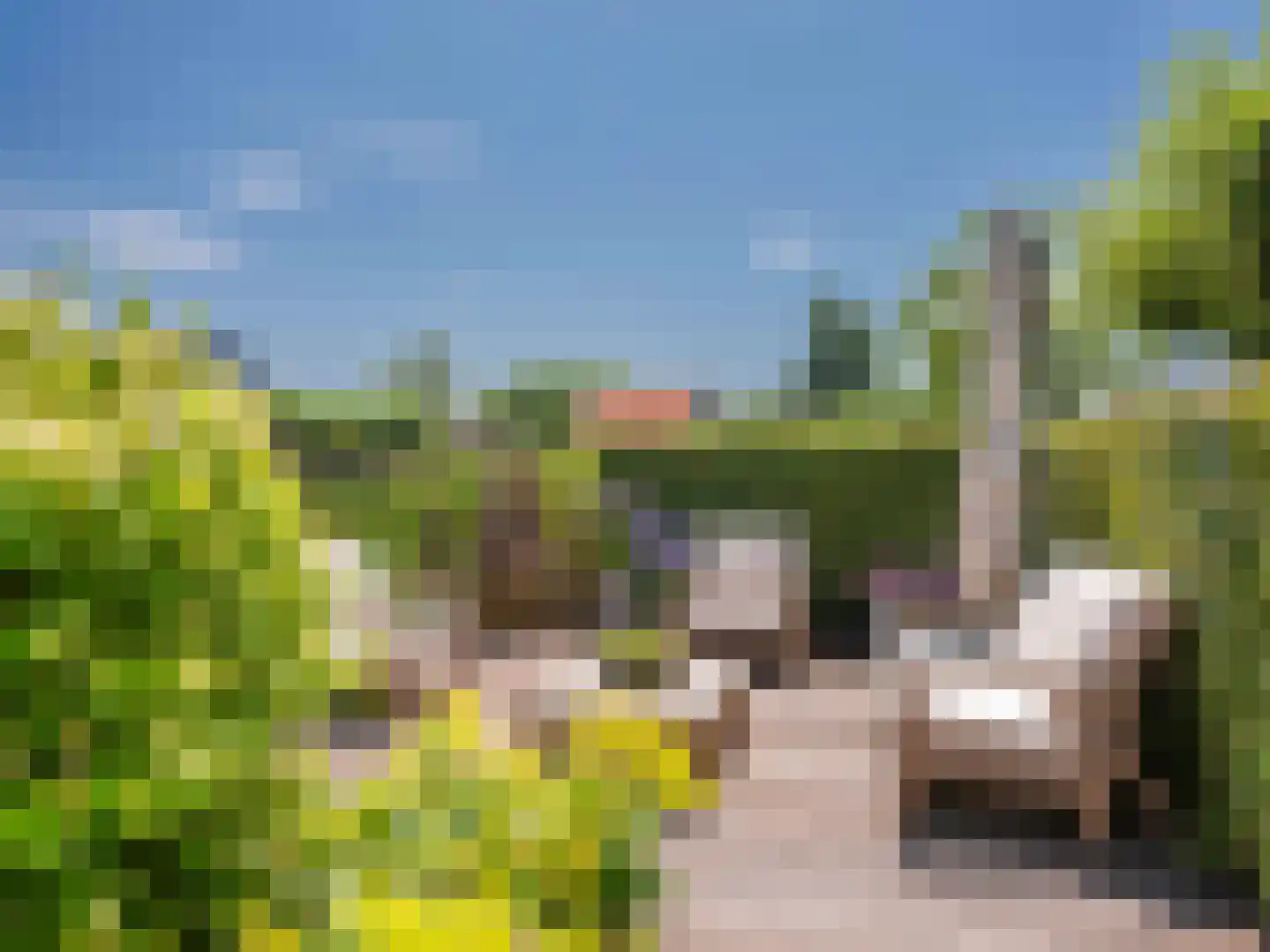 Bittervoorn 30 Krommenie thumbnail 37