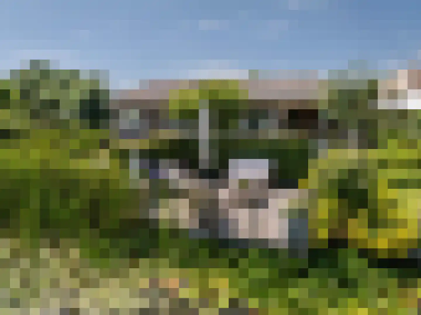 Bittervoorn 30 Krommenie thumbnail 4