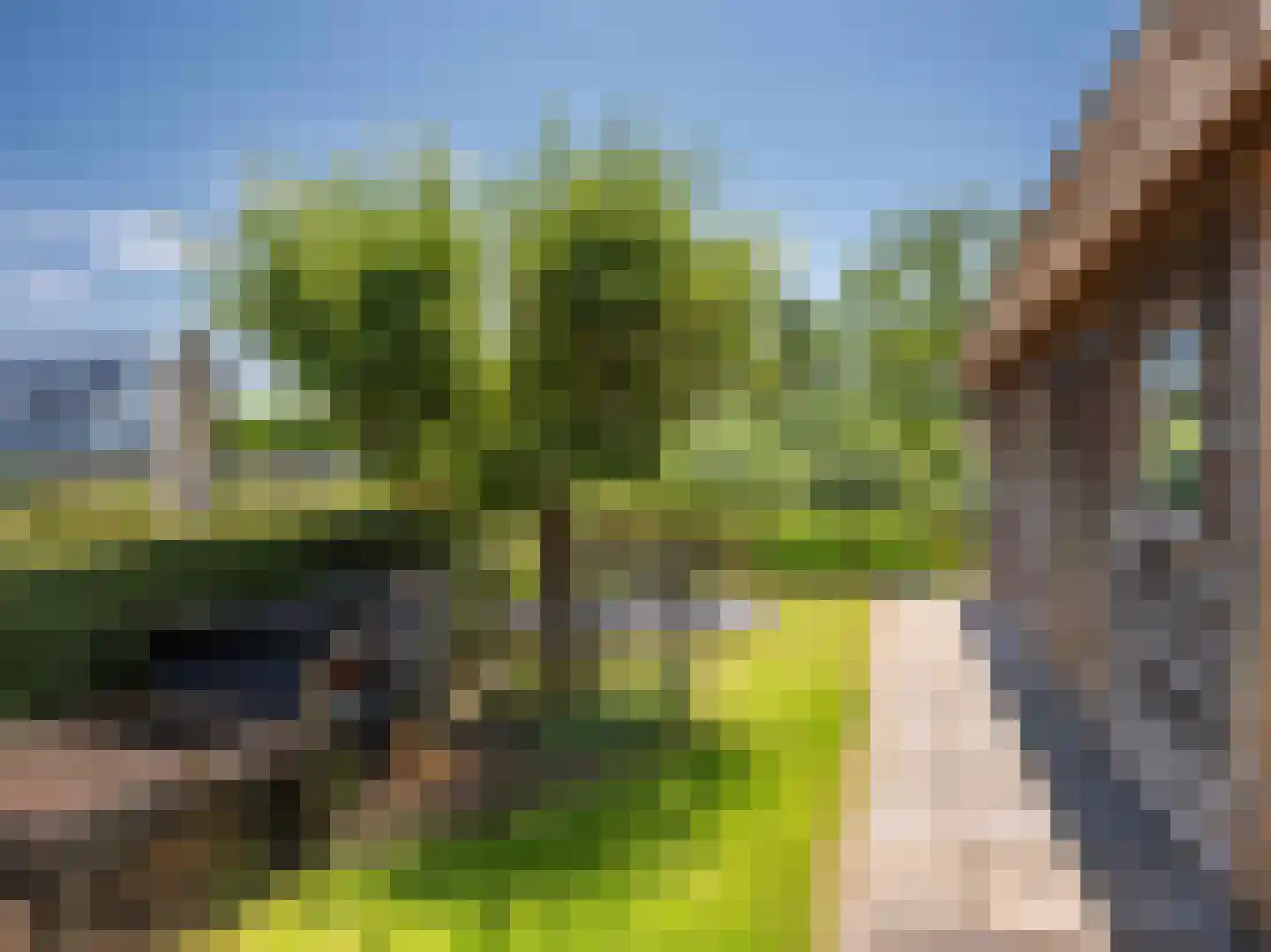 Bittervoorn 30 Krommenie thumbnail 41