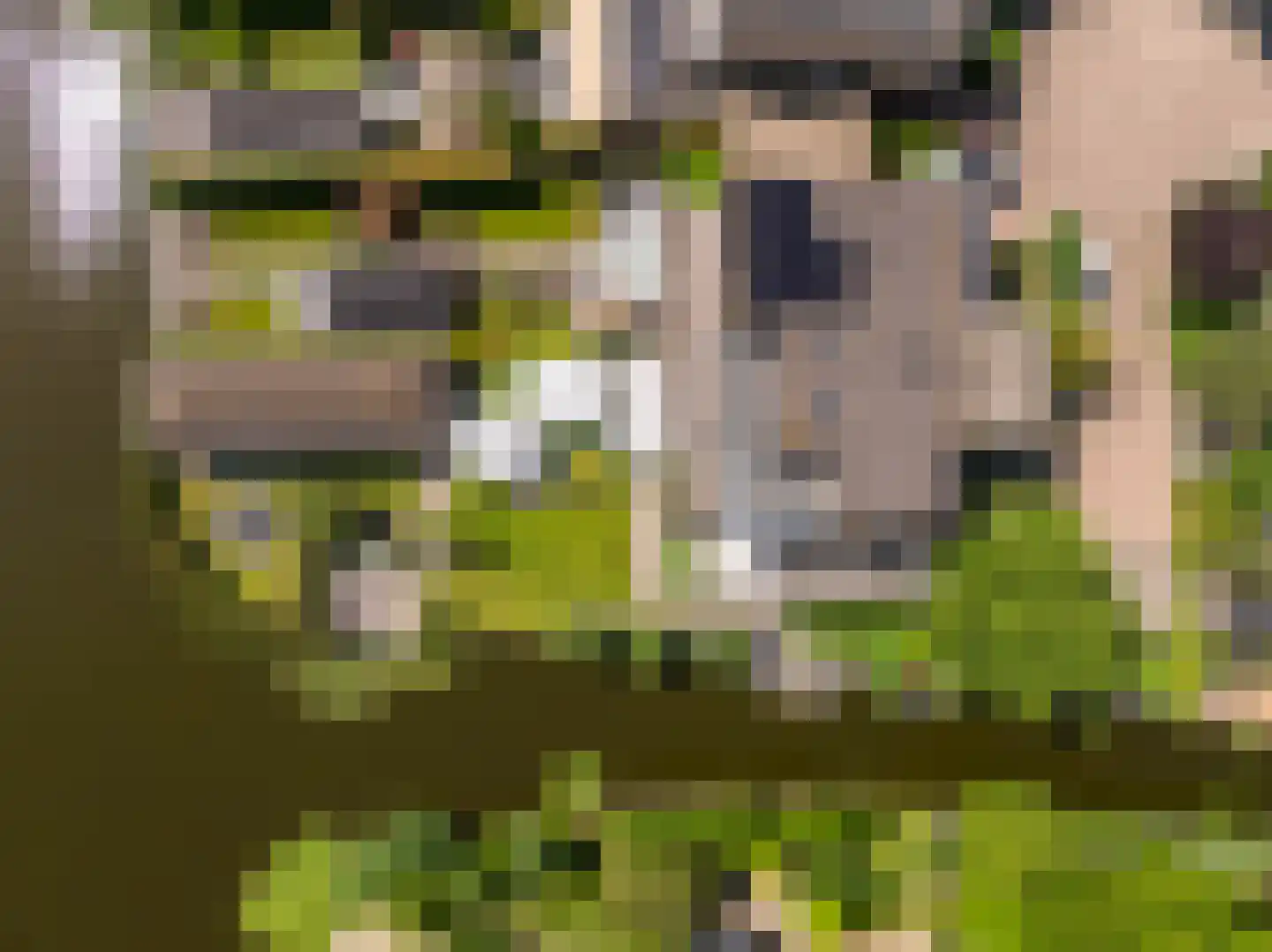 Bittervoorn 30 Krommenie thumbnail 47