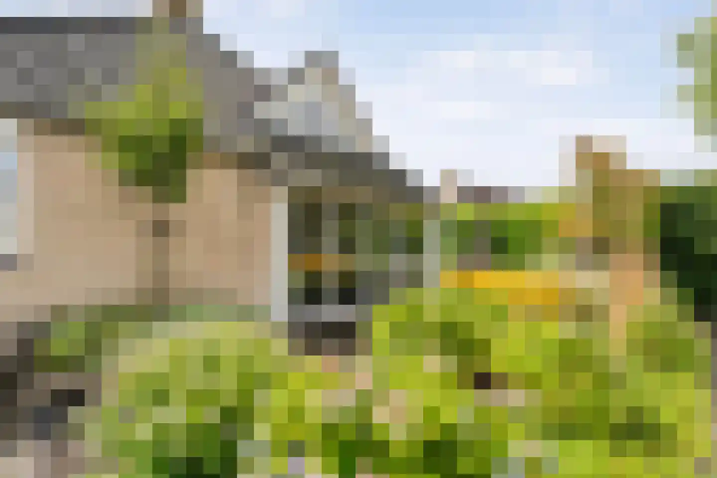 Bittervoorn 31 Hoogeveen thumbnail 10