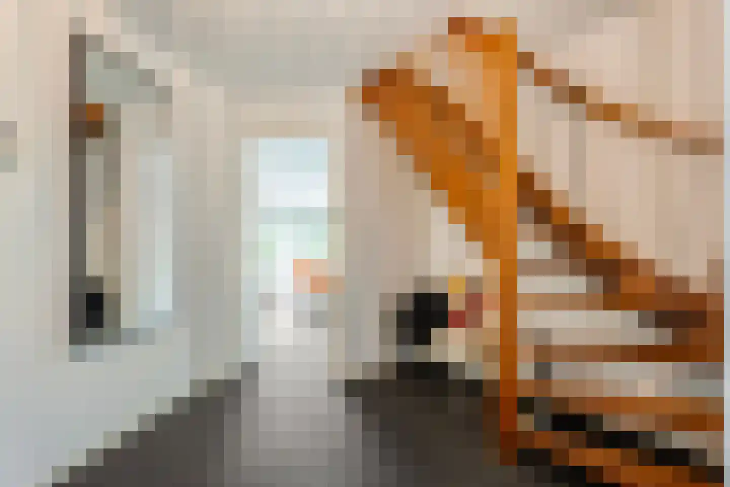 Bittervoorn 31 Hoogeveen thumbnail 12