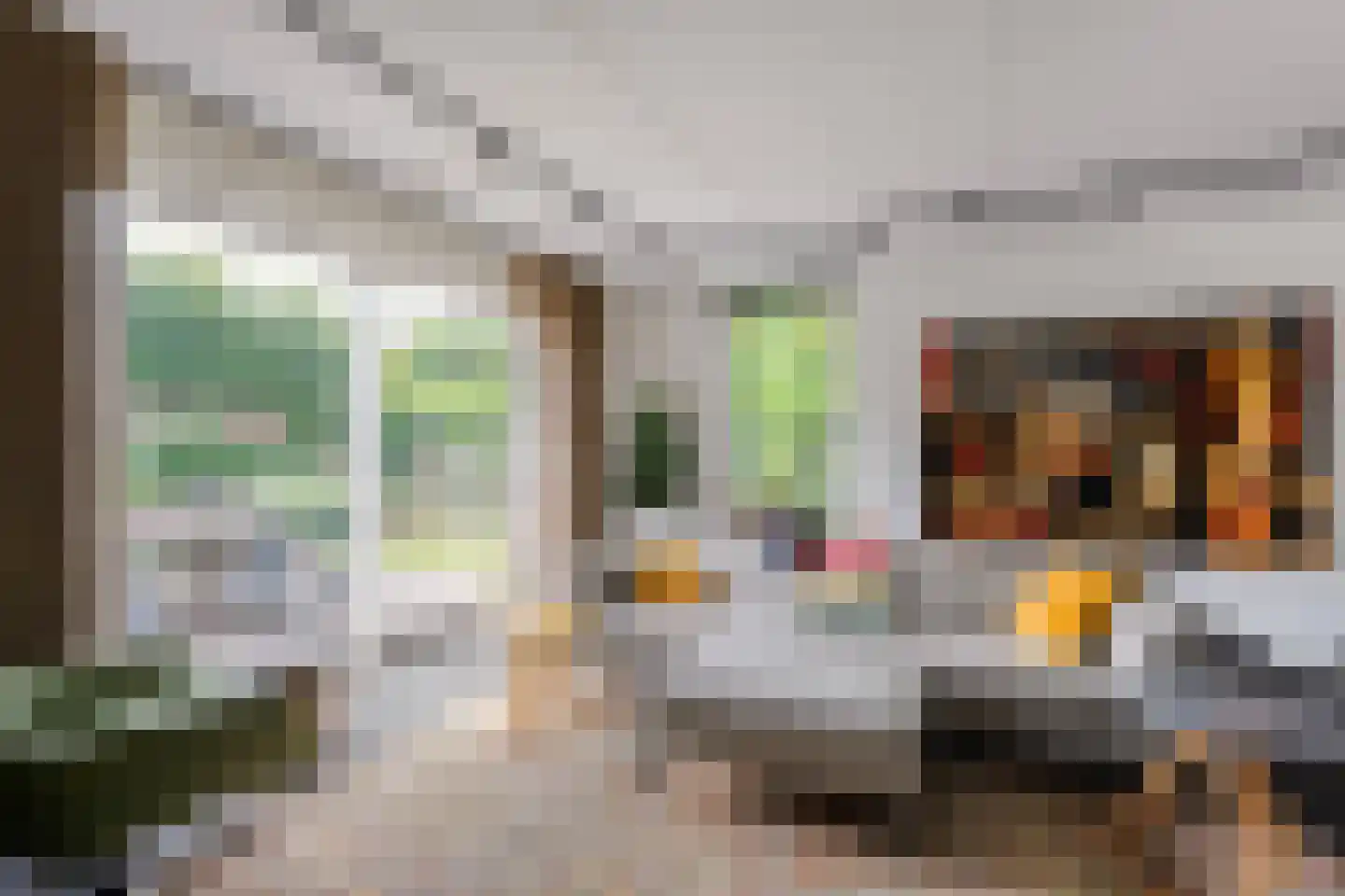Bittervoorn 31 Hoogeveen thumbnail 23