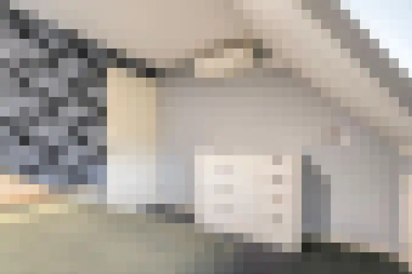 Bittervoorn 31 Hoogeveen thumbnail 27