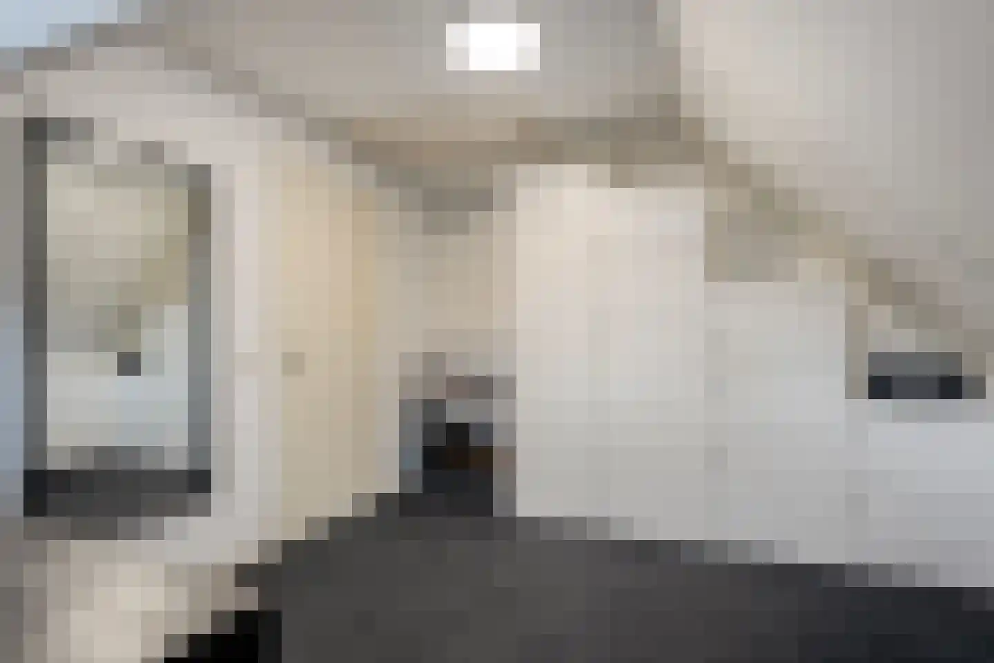 Bittervoorn 31 Hoogeveen thumbnail 29