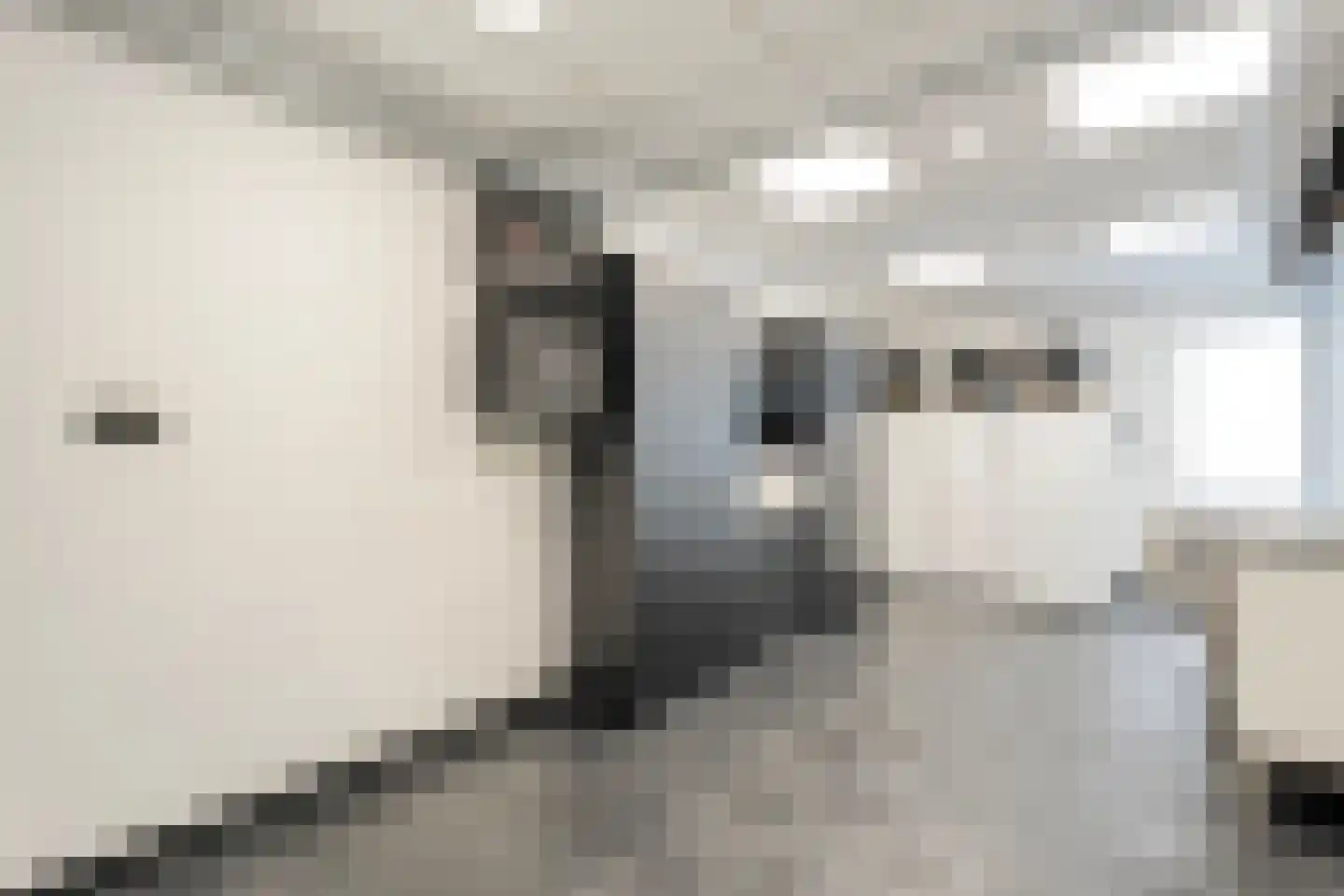 Bittervoorn 31 Hoogeveen thumbnail 32