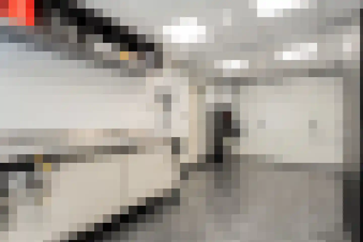 Bittervoorn 31 Hoogeveen thumbnail 33