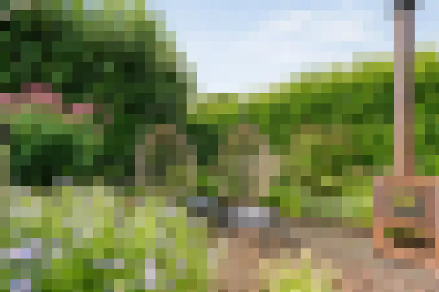 Bittervoorn 31 Hoogeveen thumbnail 38