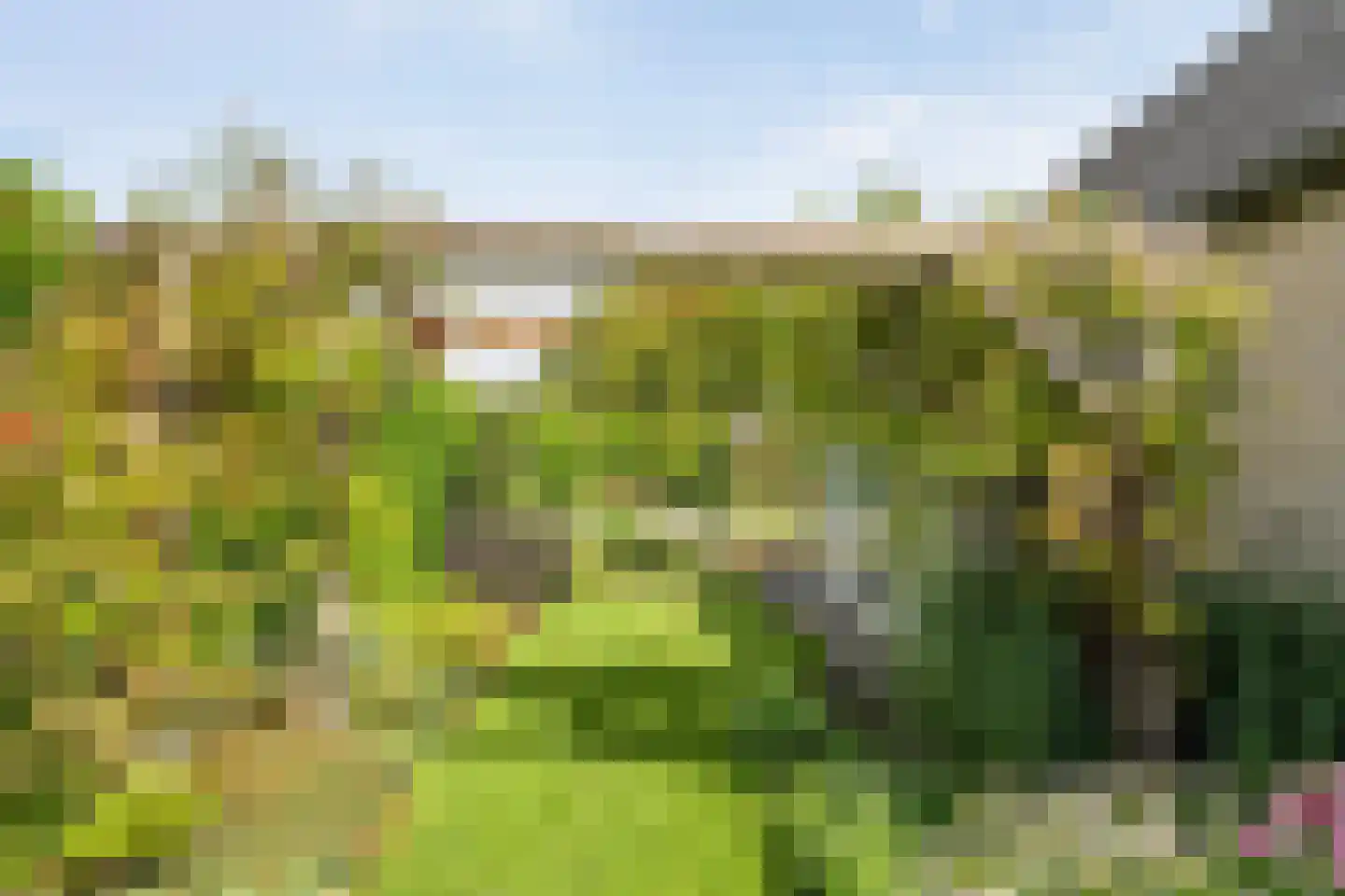 Bittervoorn 31 Hoogeveen thumbnail 40