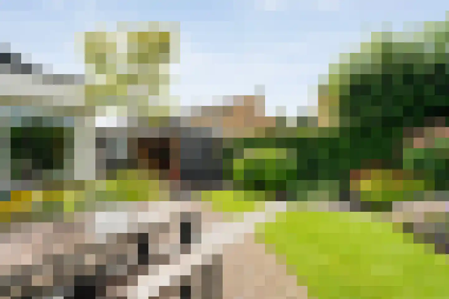 Bittervoorn 31 Hoogeveen thumbnail 41