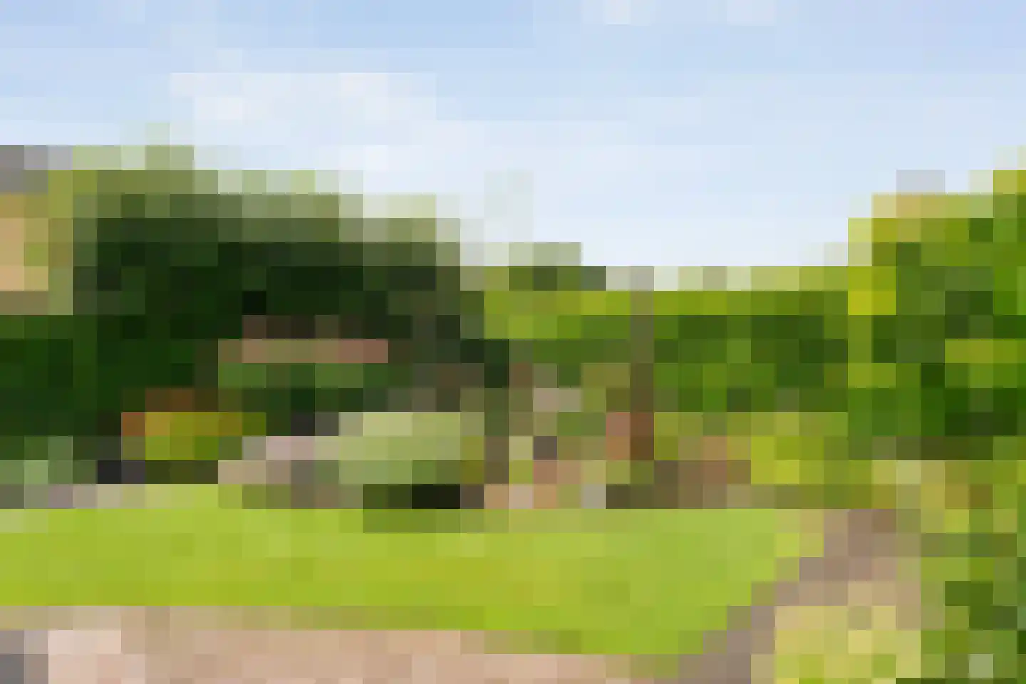 Bittervoorn 31 Hoogeveen thumbnail 44