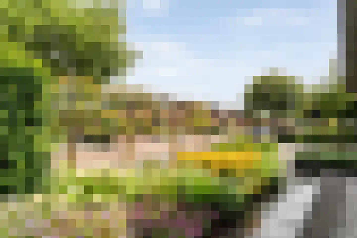 Bittervoorn 31 Hoogeveen thumbnail 45