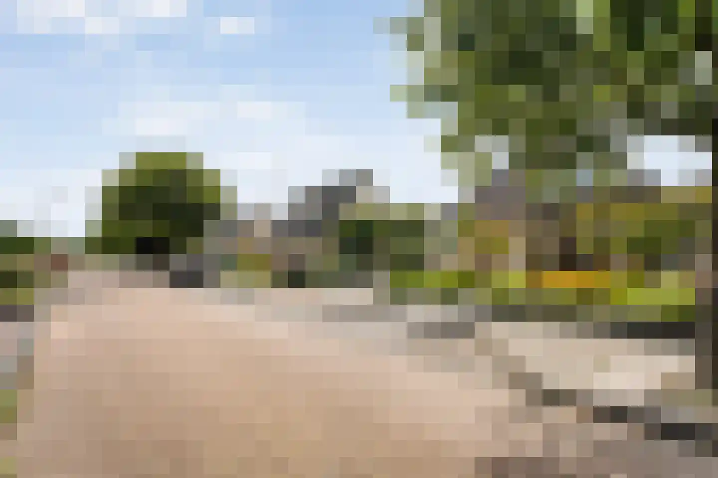 Bittervoorn 31 Hoogeveen thumbnail 5