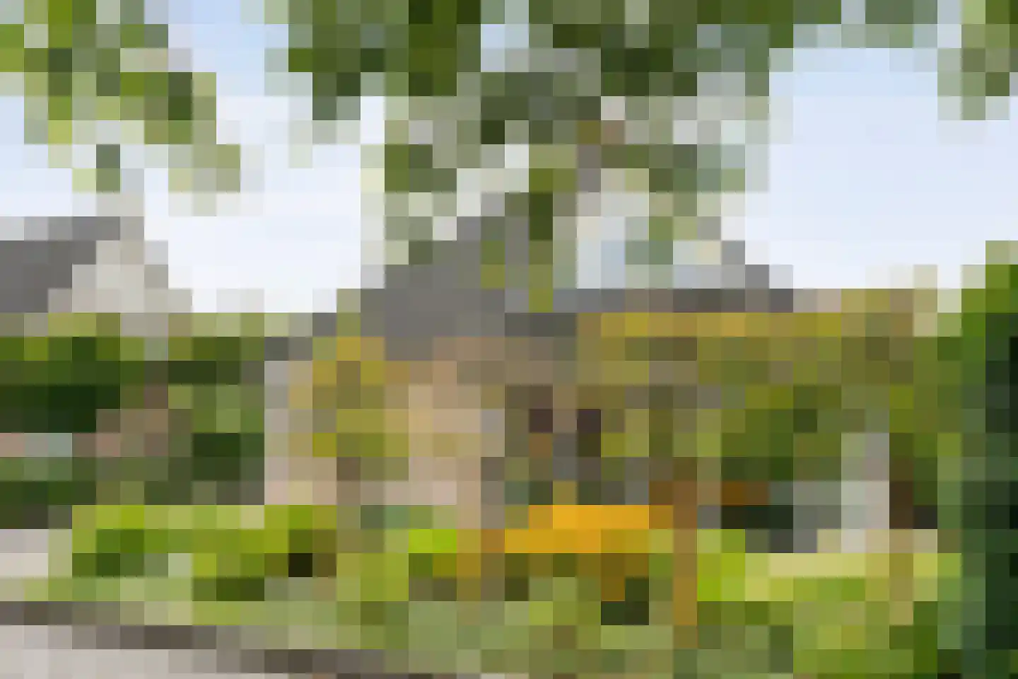 Bittervoorn 31 Hoogeveen thumbnail 8