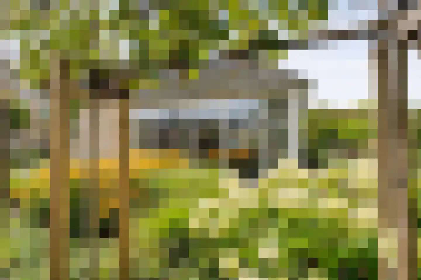 Bittervoorn 31 Hoogeveen thumbnail 9