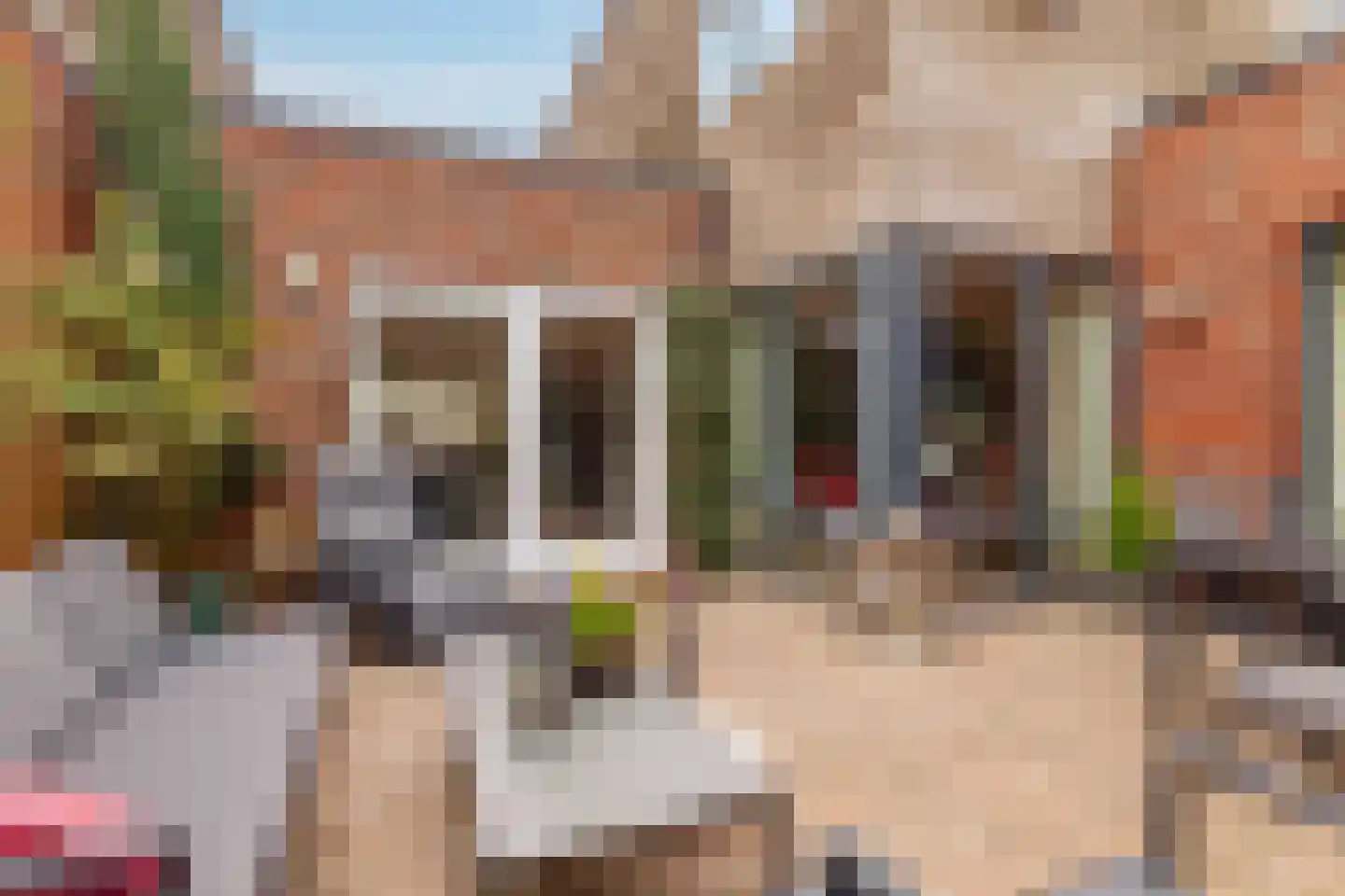 Bittervoorn 62 Hoogeveen thumbnail 16