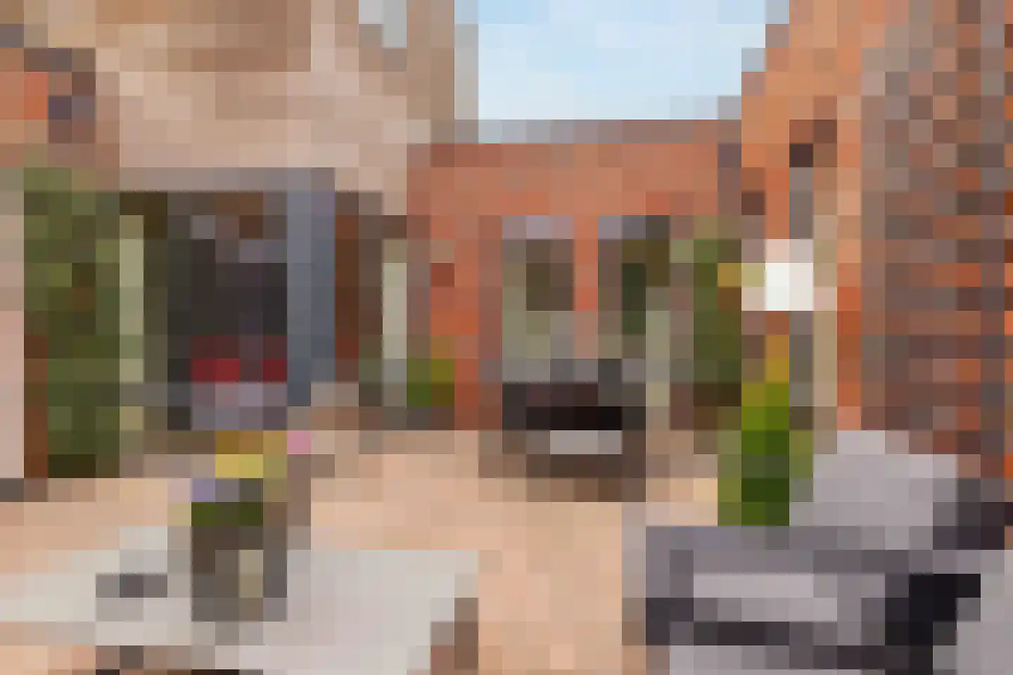 Bittervoorn 62 Hoogeveen thumbnail 17
