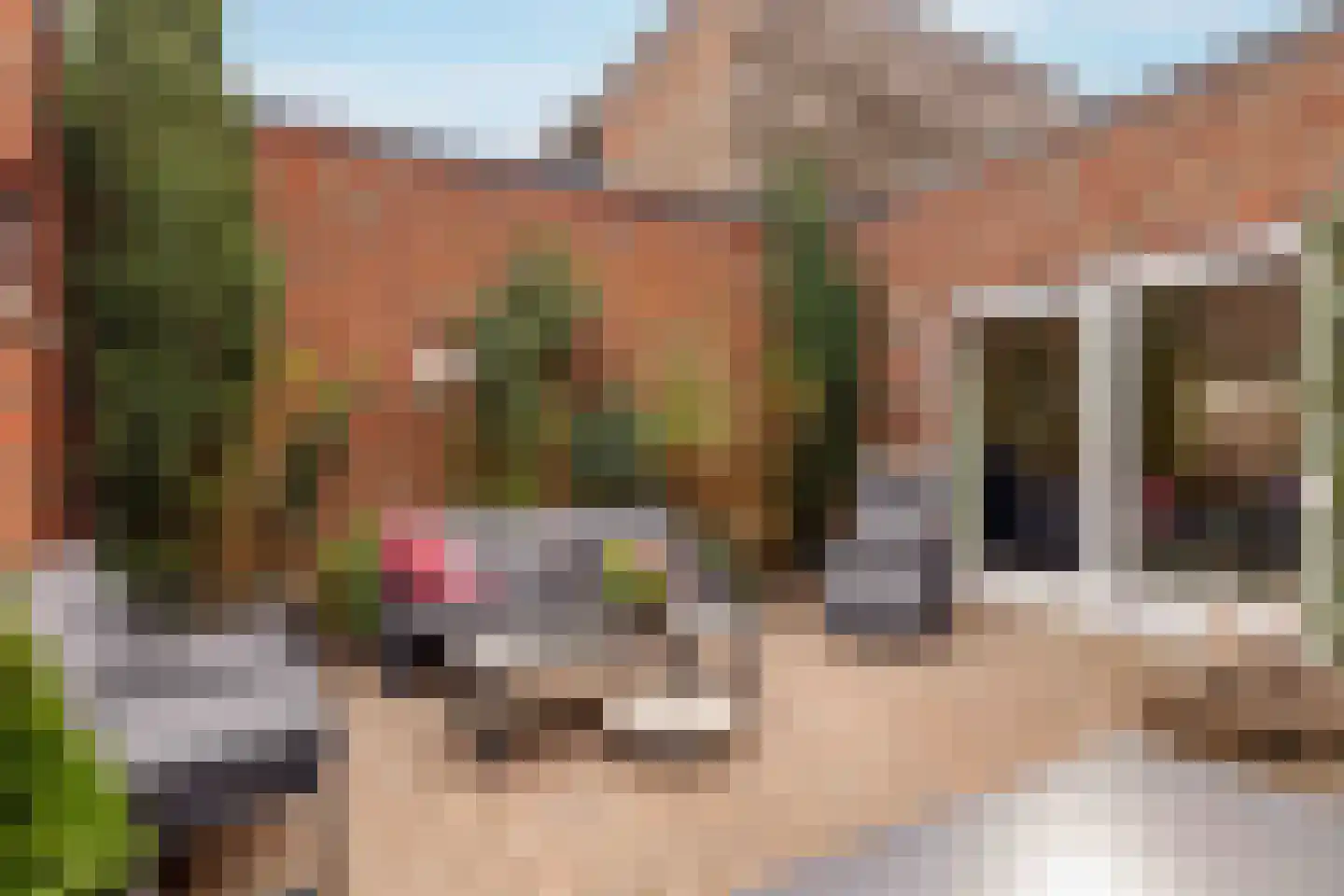 Bittervoorn 62 Hoogeveen thumbnail 18
