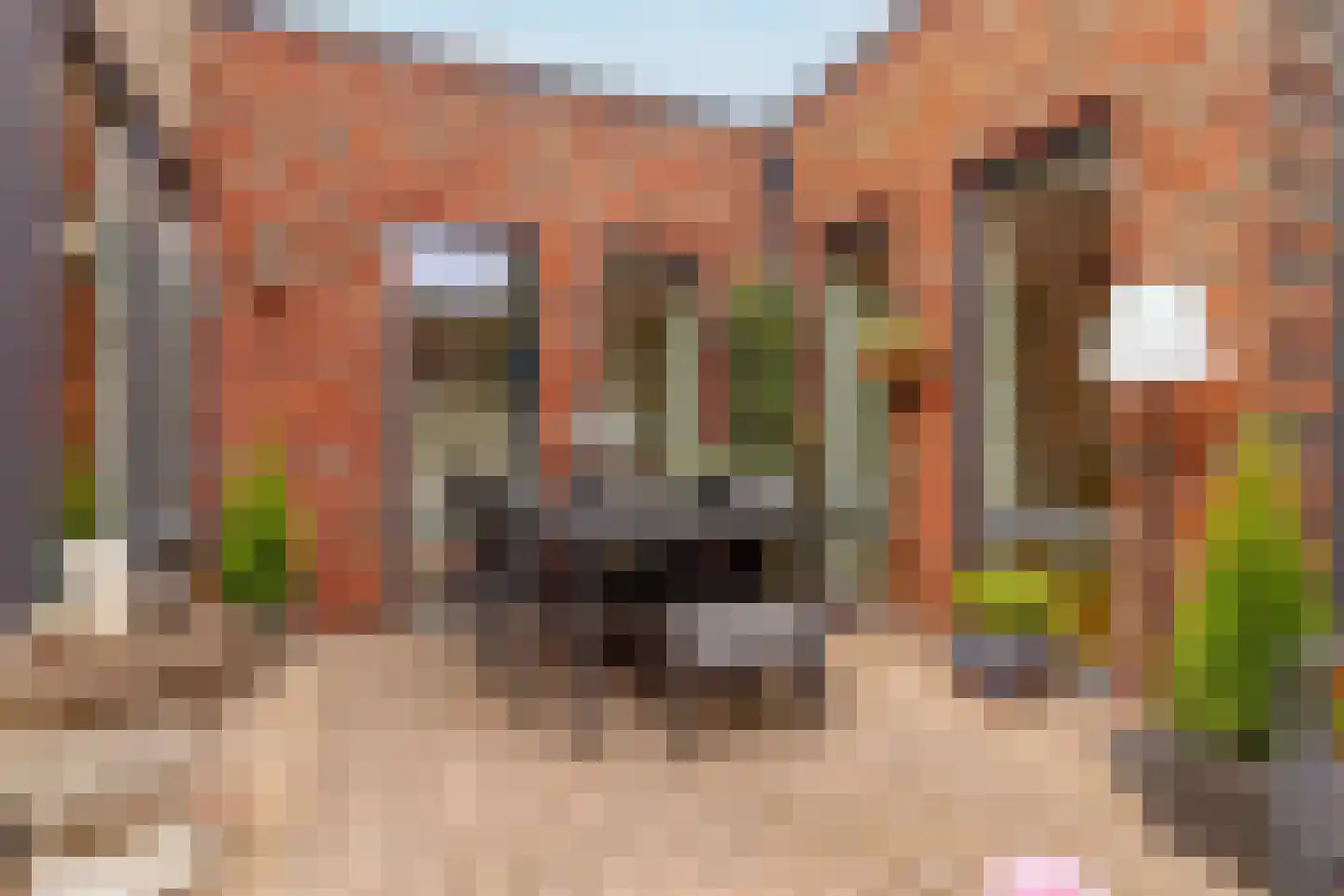 Bittervoorn 62 Hoogeveen thumbnail 19