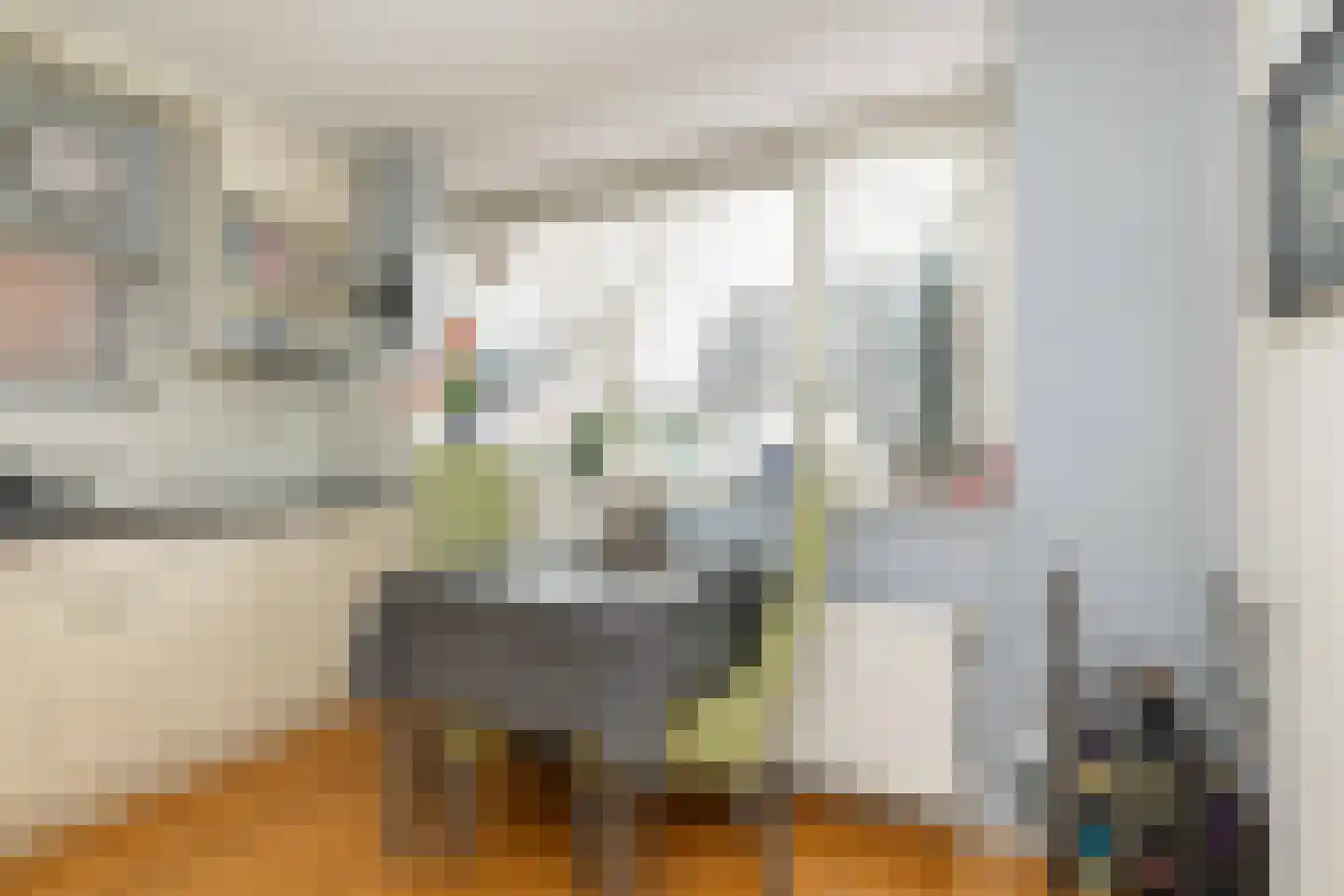 Bittervoorn 62 Hoogeveen thumbnail 21
