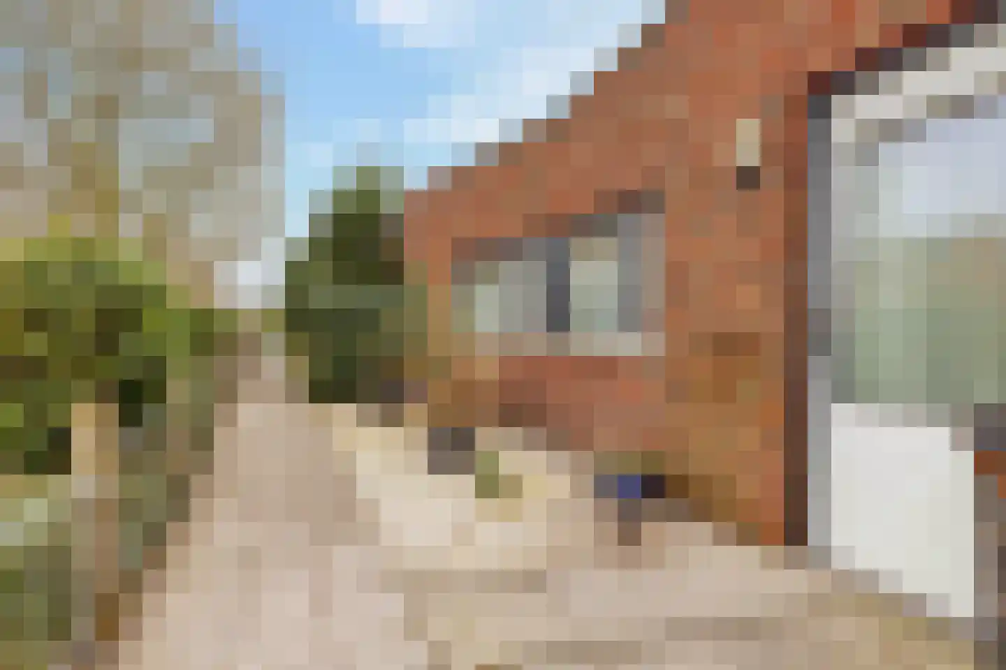 Bittervoorn 62 Hoogeveen thumbnail 39