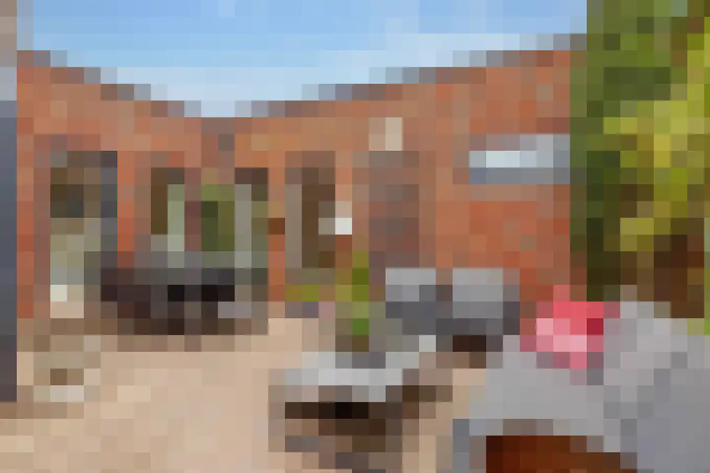 Bittervoorn 62 Hoogeveen thumbnail 4