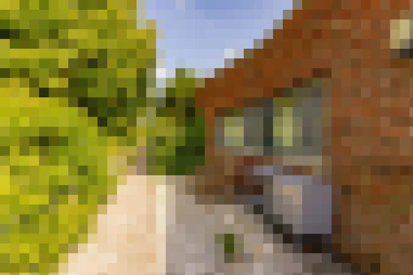 Bittervoorn 62 Hoogeveen thumbnail 40