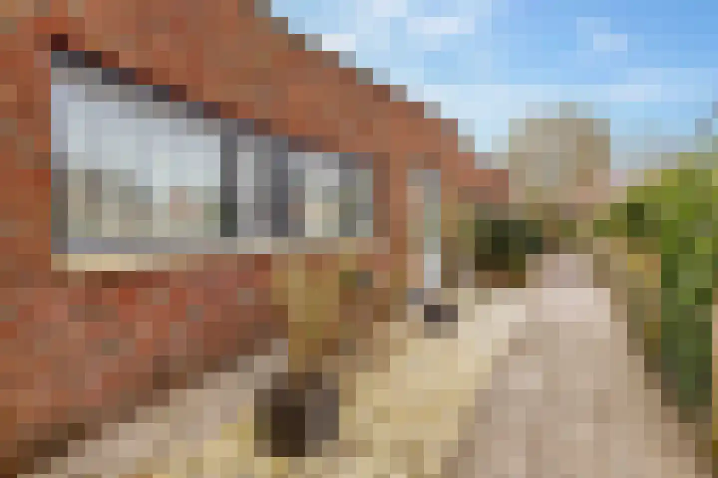 Bittervoorn 62 Hoogeveen thumbnail 40