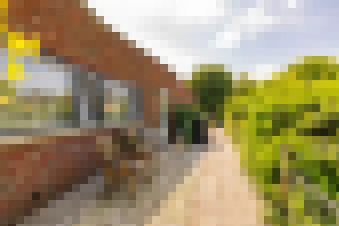 Bittervoorn 62 Hoogeveen thumbnail 41