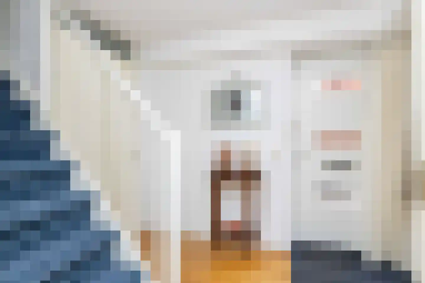 Bittervoorn 62 Hoogeveen thumbnail 41